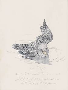 Soorat e saar, watercolor on paper, 20.5x15.5cm, 2025