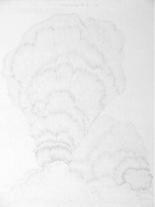 Untitled,40x30cm, Pencil on paperboard, 2016