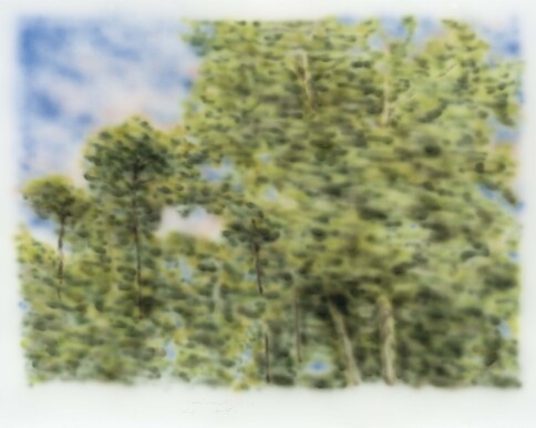 Negarestan, acrylic on paper, 120x150cm, 2021