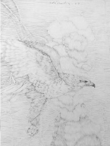 Untitled,40x30cm, Pencil on paperboard, 2017
